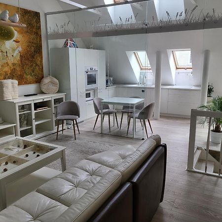 Gallery Balta Apartments Kaunas Kültér fotó