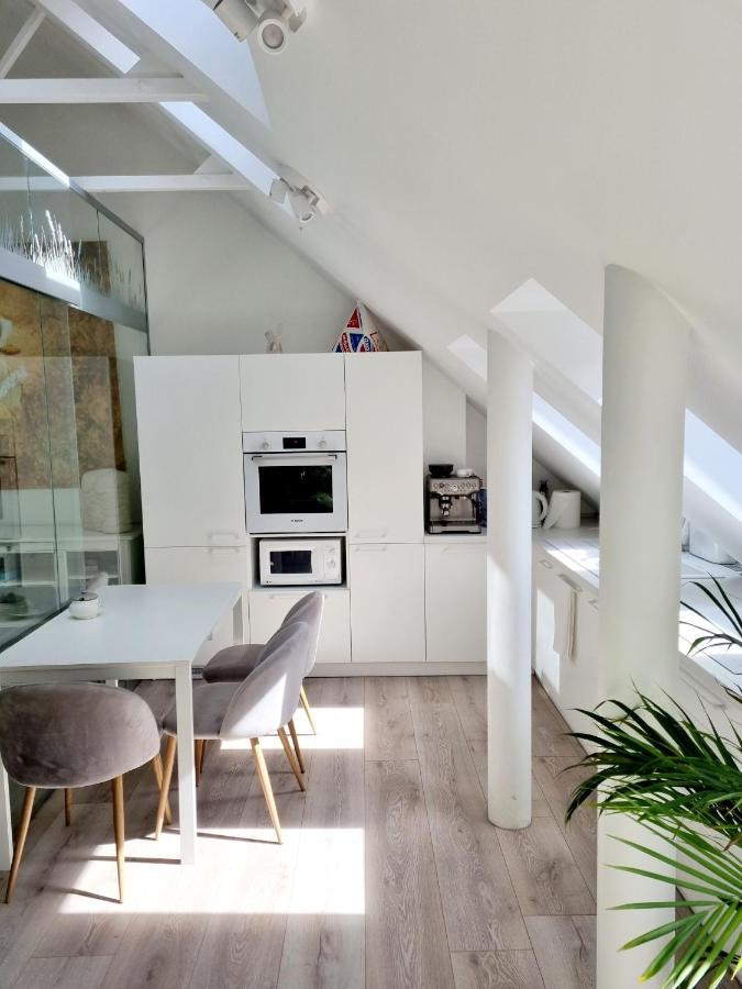 Gallery Balta Apartments Kaunas Kültér fotó